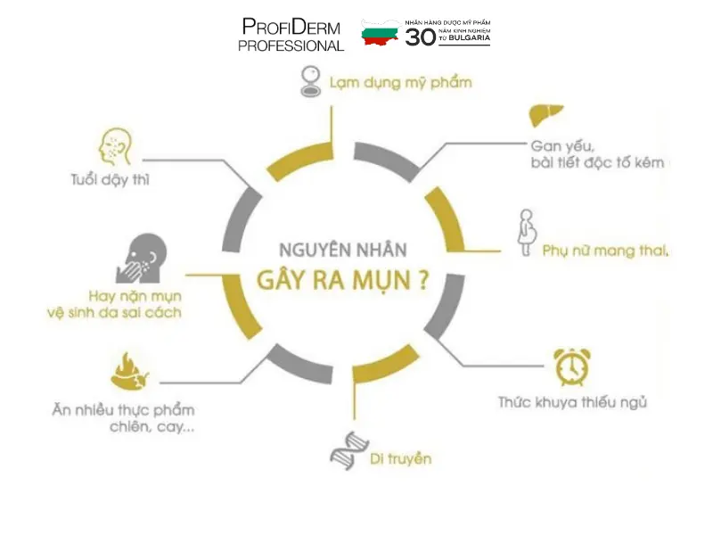 phục hồi da dầu mụn