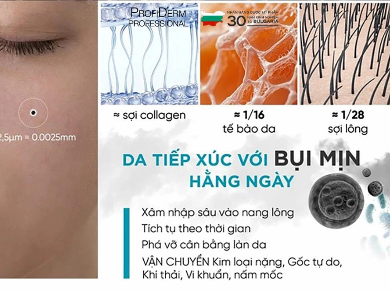 Micellar Water Anti Pollution