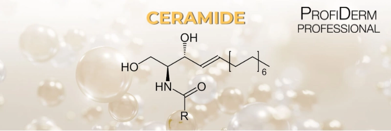 Ceramide