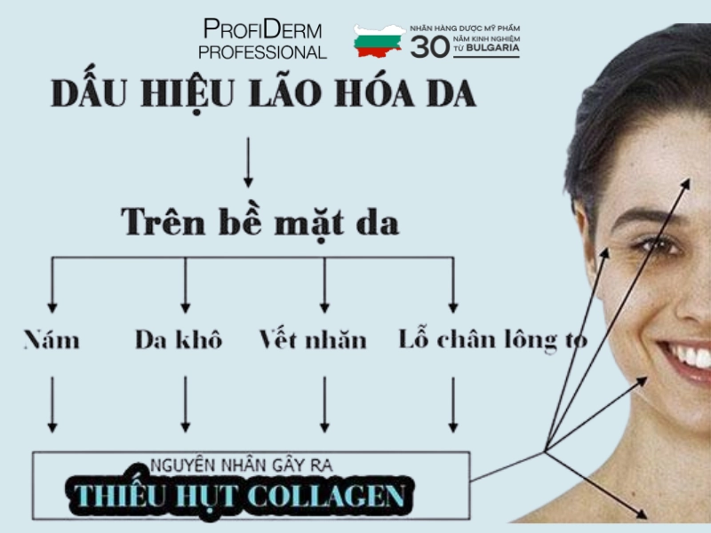  chống lão hóa cho da nhạy cảm