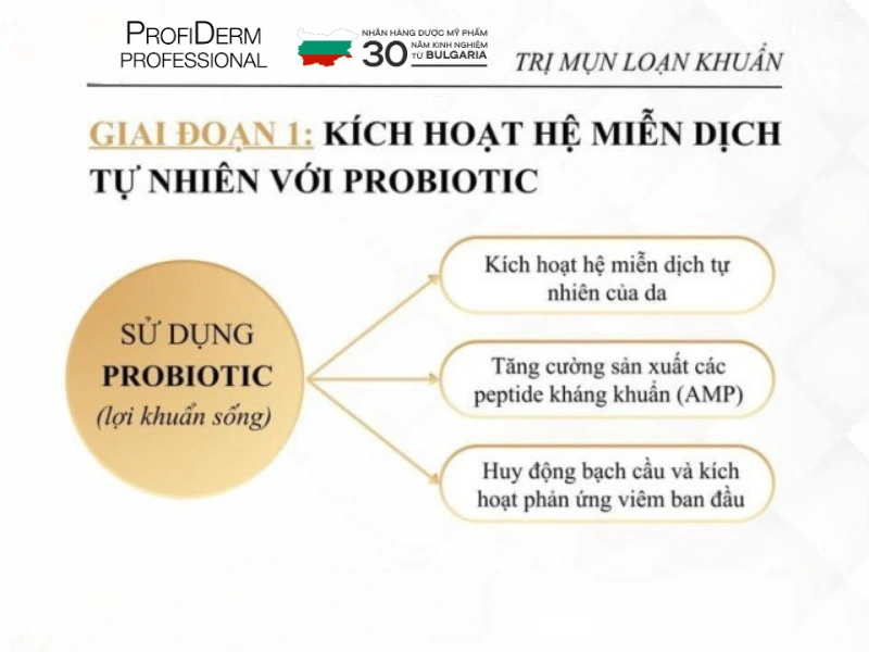 Các hoạt chất chủ chốt trong điều trị loạn khuẩn
