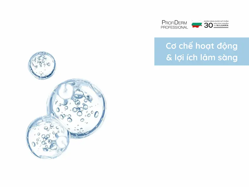 Cơ chế hoạt động & lợi ích lâm sàng