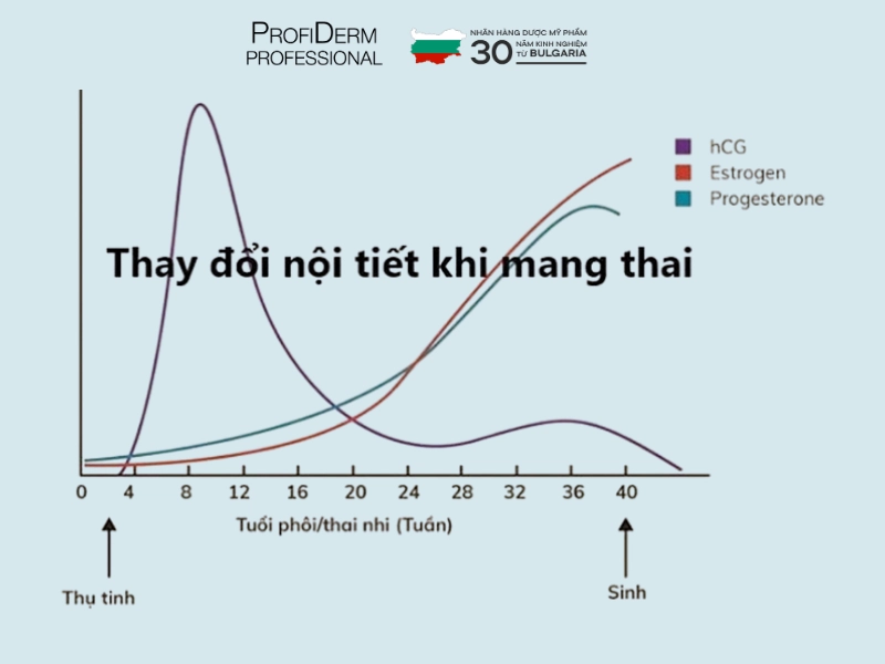 chăm sóc da nhạy cảm cho bà bầu