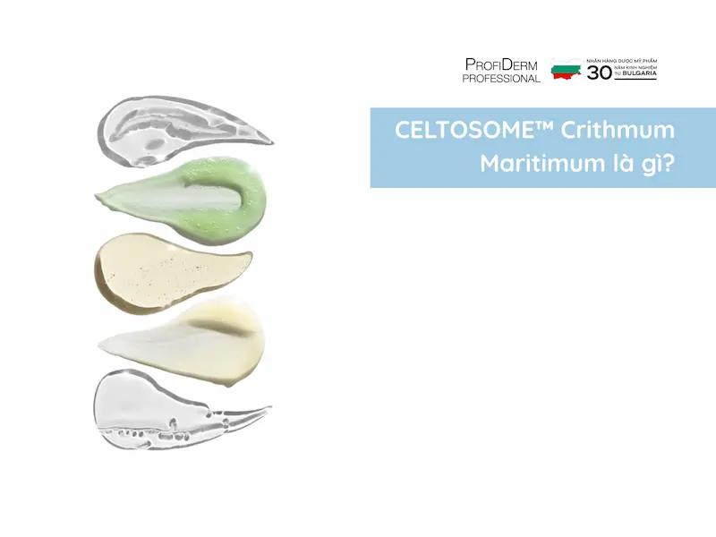 celtosome crithmum maritimum